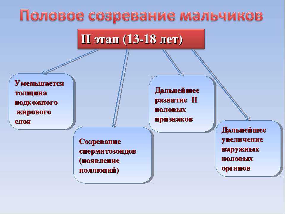 Половое созревание мальчиков презентация