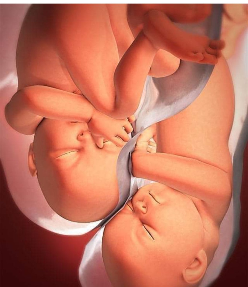 Малыш в утробе